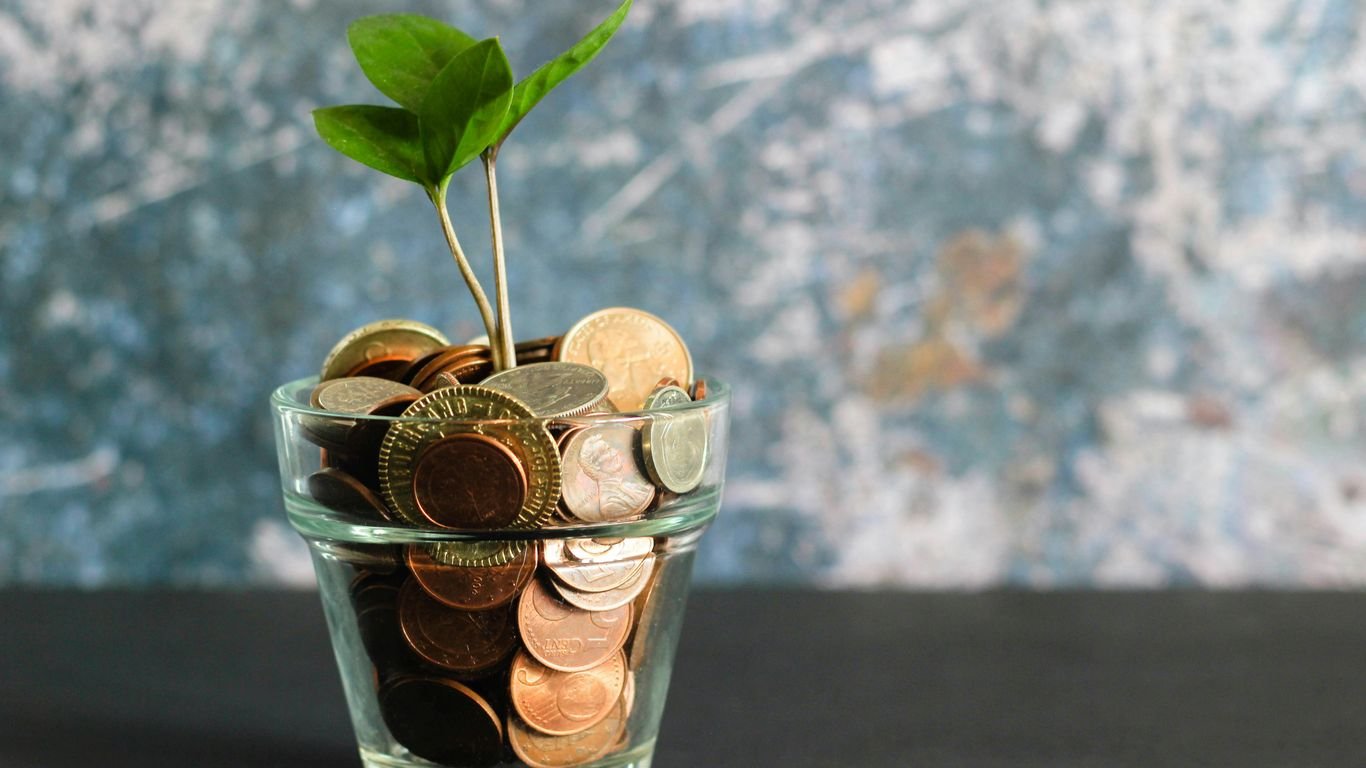 The Profit Margin Formula for E-commerce Growth Stage Businesses